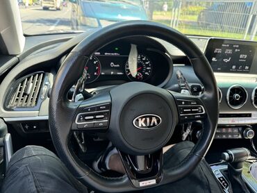 Ручки КПП: Kia Stinger sükan lepestokları, fərqli rənglərdə Zəng edə və ya