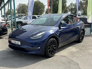 Tesla: Tesla Model Y: 2023 г., Вариатор, Электромобиль, Кроссовер — 3