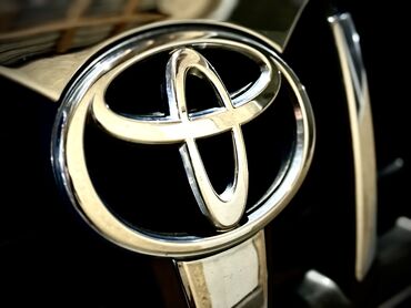 горный: Toyota Land Cruiser Prado: 2009 г., 2.7 л, Автомат, Бензин, Внедорожник
