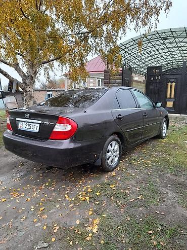 e klass: Toyota Camry: 2003 г., 2.4 л, Автомат, Бензин, Седан — 4