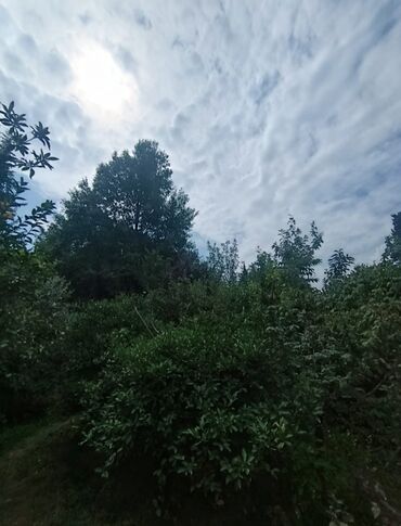 qurd dərəsi ev: 4 otaqlı, 95 kv. m, Orta təmir