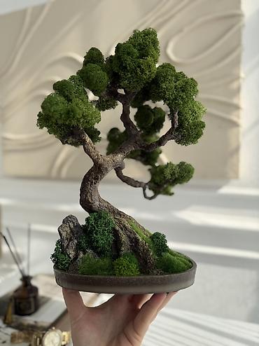 Другой декор и предметы интерьера: Декоративное дерево бонсай, выполненное из стабилизированного мха — 40