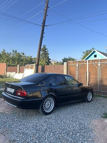 bmw x5 3 дизель: BMW 5 series: 2002 г., 2.5 л, Механика, Бензин, Седан — 4