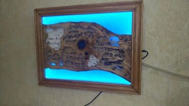 Heyvanlar üçün digər mallar: Hər ölçüdə hər dizaynda qarışqa yuvaları yığılır səliqəli və təmiz — 9