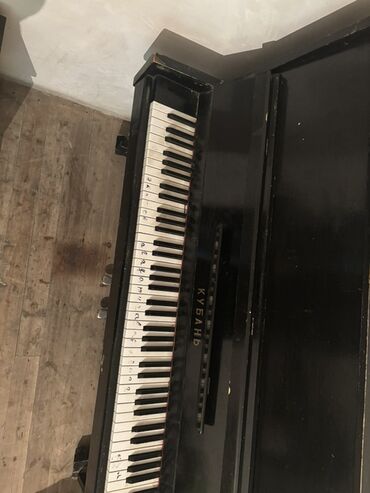 Akkordeonlar: Piano, Kuban, Akustik