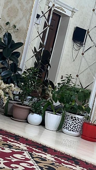 Долгосрочная аренда домов: 400 м², 6 комнат, Теплый пол, Бронированные двери, Евроремонт — 14