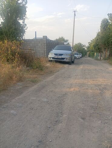 машина адиссей: Honda Odyssey: 2003 г., 3 л, Автомат, Бензин, Вэн/Минивэн