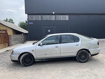 neta gt: Nissan Primera: 2000 г., Механика, Бензин, Седан — 4