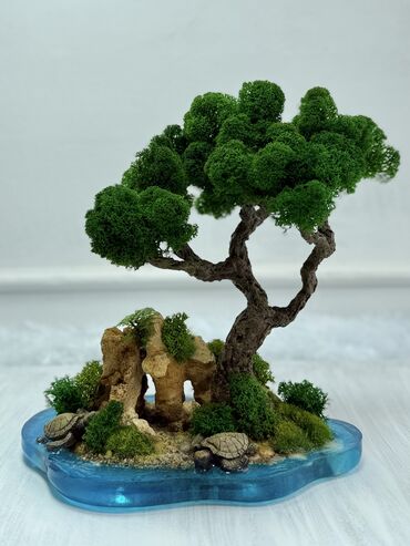 Декоративные цветы: В переводе с японского Бонсай означает «дерево, выращенное в блюде» at lalafo.kg — 51 Декоративные цветы: В переводе с японского Бонсай означает «дерево, выращенное в блюде» — 51