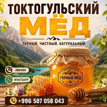 токтогул мед: Токтогульский мёд — горный, чистый, натуральный. - Происхождение — 1