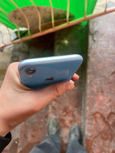 Apple iPhone: IPhone Xr, Голубой — 5