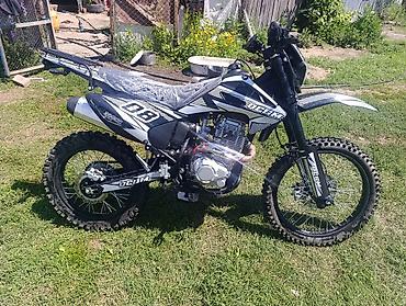 roma: Эндуро/питбайк ODesm 300cc - Двигатель: одноцилиндровый 4‑тактный — 1