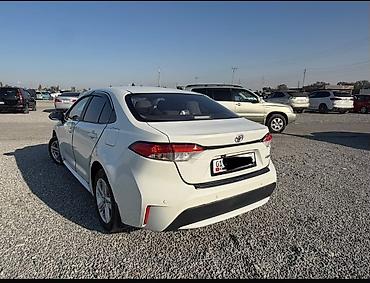 taiota altezza: Toyota Levin: 2019 г., 1.2 л, Автомат, Бензин, Седан — 2