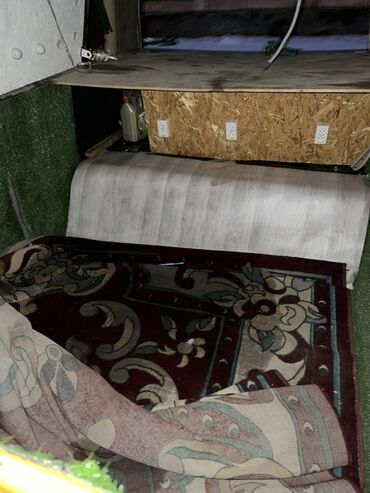 сдаю помещение кызыл аскер: Продам ковёр срочно