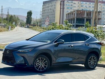 лексуз харер: Lexus NX: 2022 г., 2.5 л, Автомат, Бензин, Кроссовер