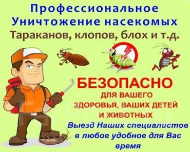 цены на строительные работы в бишкеке 2023 год: Профессиональное уничтожение насекомых: тараканов, клопов, блох и др