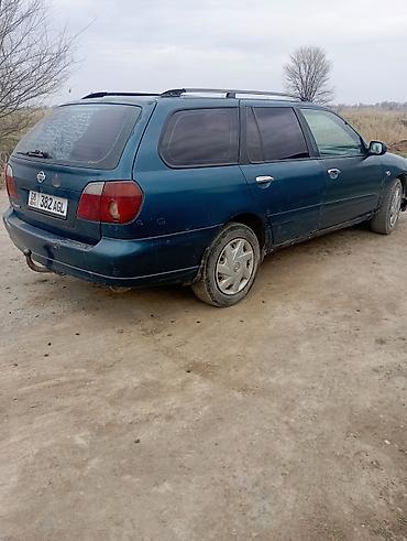 Nissan: Nissan Primera: 2001 г., Универсал — 3