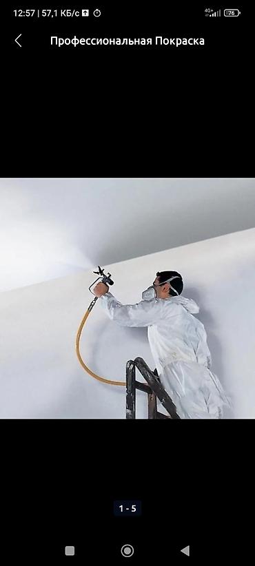Покраска: Покраска стен, Покраска потолков, Покраска наружных стен, Больше 6 лет опыта — 4
