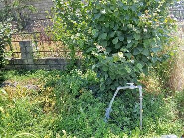 Torpaq sahələrinin satışı: 8 sot, Tikinti, Mülkiyyətçi, Texniki pasport — 6