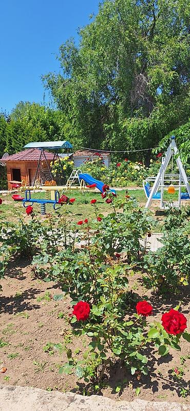 сдаю 2 комнаты: Коттедж, Илбирс Саадат, Бостери, 8 мест — 3