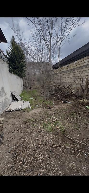 Landşaft işləri: Resulzade qesebesi pasyolka kirovda ne qeder isteyirsen odun var — 2