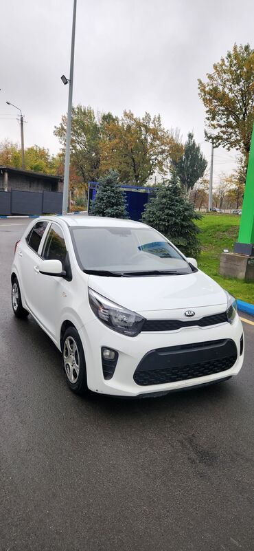 Kia: Kia Morning: 2019 г., 1 л, Автомат, Бензин, Хэтчбэк