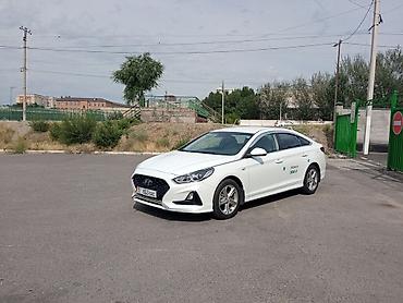 sonata uf: Hyundai Sonata: 2020 г., 2 л, Автомат, Газ, Седан — 6