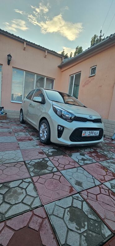 авто из кореи в наличии в бишкеке: Kia Morning: 2019 г., 1 л, Автомат, Бензин, Хетчбек