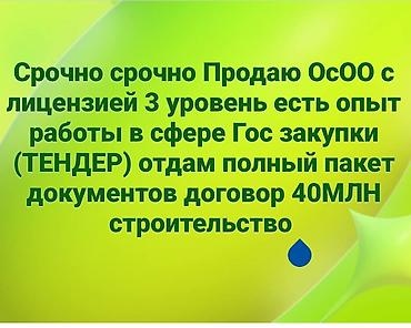 тендер: ОсОО с лицензией 3 уровня. Профиль — строительство. Есть — 1