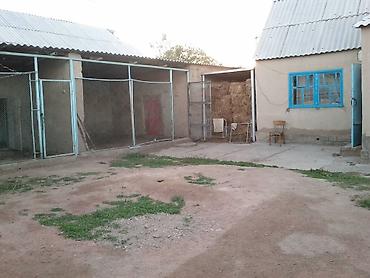 дом участок село мыкан: Продается большой дом 3 комнат, со всей мебелью. В Нарынской области — 5