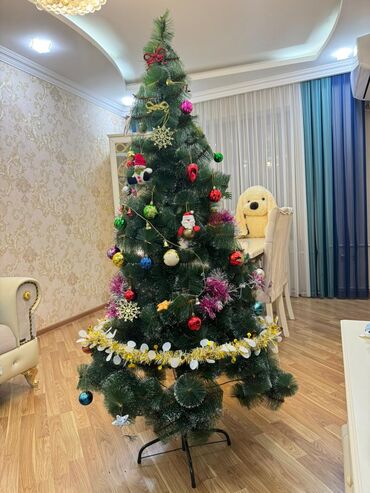 Yeni il ağacları: 1.85 hündürlüyündə şam ağacı TƏCİLİ satılır və üzərində bütün -da lalafo.az — 16 Yeni il ağacları: 1.85 hündürlüyündə şam ağacı TƏCİLİ satılır və üzərində bütün — 16