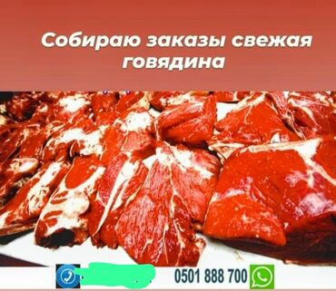 черная икра цена бишкек: Уйдун эти : 5 кг, 10 кг, 10 кг ашык, Акысыз жеткирүү