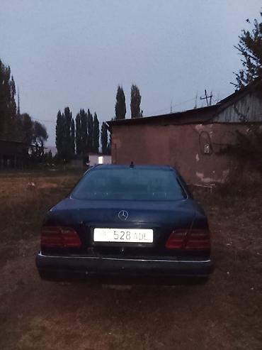 кроссовер ауди: Mercedes-Benz : 1996 г., 3.2 л, Механика, Газ, Седан — 4
