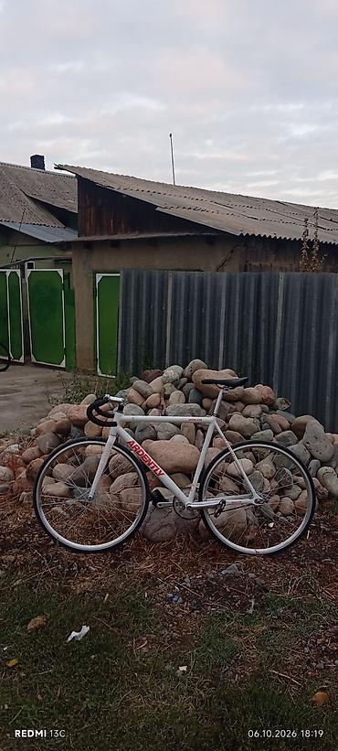 Спорт и хобби: Фикс-байк (fixed gear) Ardent/Adrenalite - Рама и вилка: легкий — 7