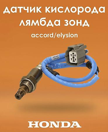 лямда зонд аккорд: Лямбда зонд Honda 2004 г., Новый, Аналог — 1