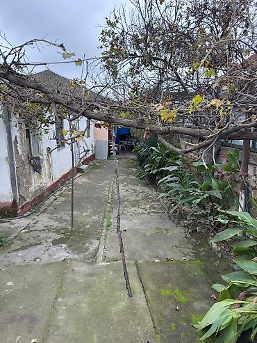 Həyət evləri və villaların satışı: 5 otaqlı, 100 kv. m — 13