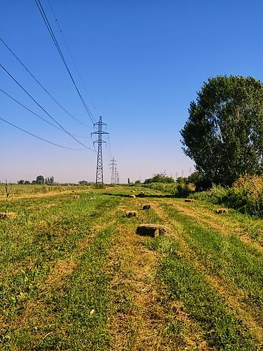 Үй жаныбарлары: Продаём тюки РАЗНОТРАВЬЯ Укос: 3 укос 2026 год Кол-во: ~250 штук — 1