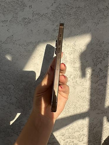 ipad 8th: IPhone 16 Pro Max, 256 ГБ, цвет светлый (похож на Natural — 6