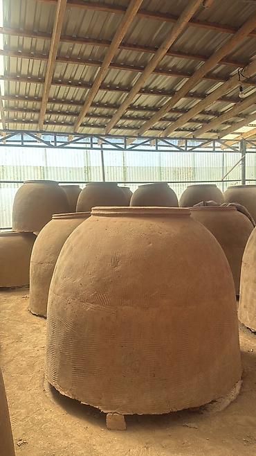 Очок: Тандыры Больше 6 лет опыта — 5