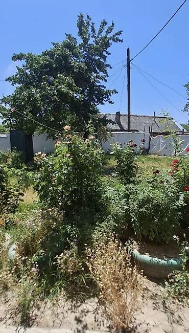 3комн: 🏡 Продается 3-комн. дом в р/н Аламединского рынка! 📍 Район — 1