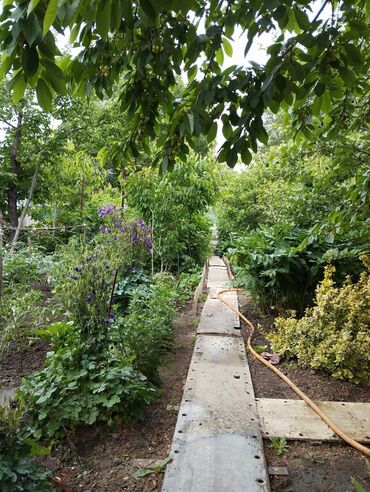 Продажа домов: Дом, 70 м², 4 комнаты, Собственник at lalafo.kg — 29 Продажа домов: Дом, 70 м², 4 комнаты, Собственник — 29