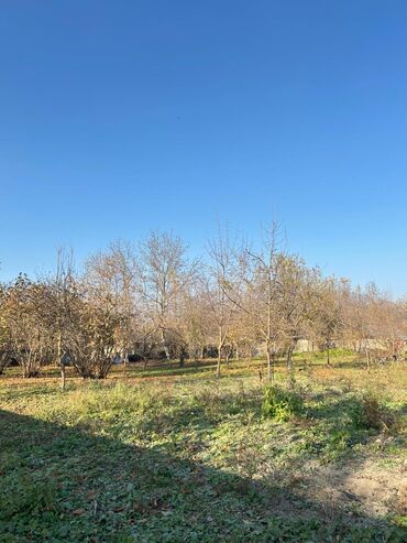 Torpaq sahələrinin satışı: 17 sot, Tikinti, Mülkiyyətçi, Kupça (Çıxarış) — 8