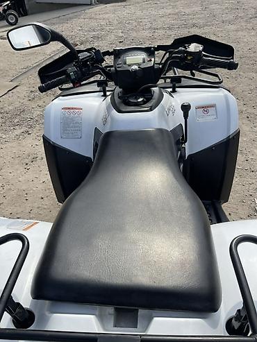 Квадроциклы: Квадроцикл Linhai 300 (4x4) - Мощный утилитарный ATV с полным — 5