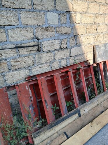 işlənmiş turba: 12 pille, yeni kimidir