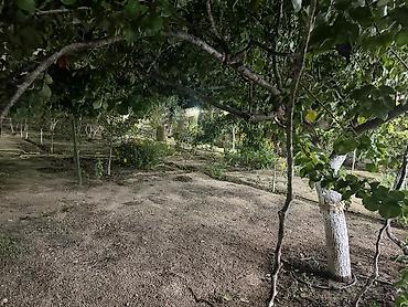 Bağ evlərinin satışı: SAHIBINDEN 🏡 ALBALILIQDA MÖHTƏŞƏM BAĞ EVİ – HƏM YAŞAYIŞ, HƏM DƏ — 25