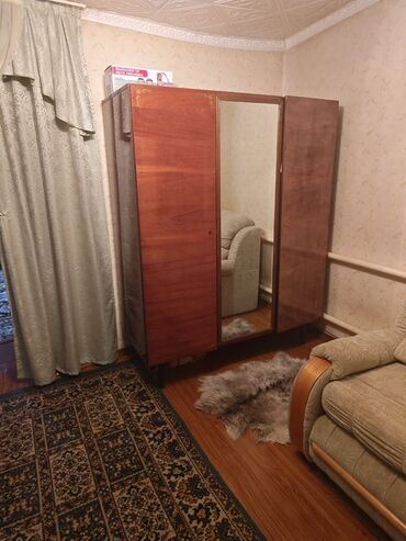 шкаф купе для прихожей с зеркалом: Шкаф для одежды, Прямой, Дерево