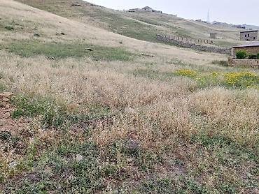 Torpaq sahələrinin satışı: 4 sot, Tikinti, Bələdiyyə — 4