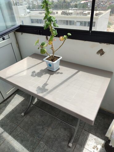 Mebel: Plastik bərk masa, balkon üçün almışdım amma bizə böyük oldu. Ölçüsü