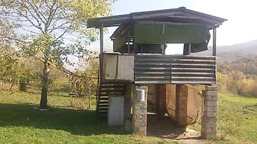goranboy torpaq: 580 sot, Kənd təsərrüfatı, Makler, Kupça (Çıxarış) — 6