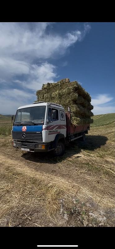 howo машина: Грузовик, Mercedes-Benz, Стандарт, Б/у — 1